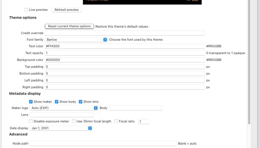 Theme options and Metadata display controls from the real framemodu export panel.