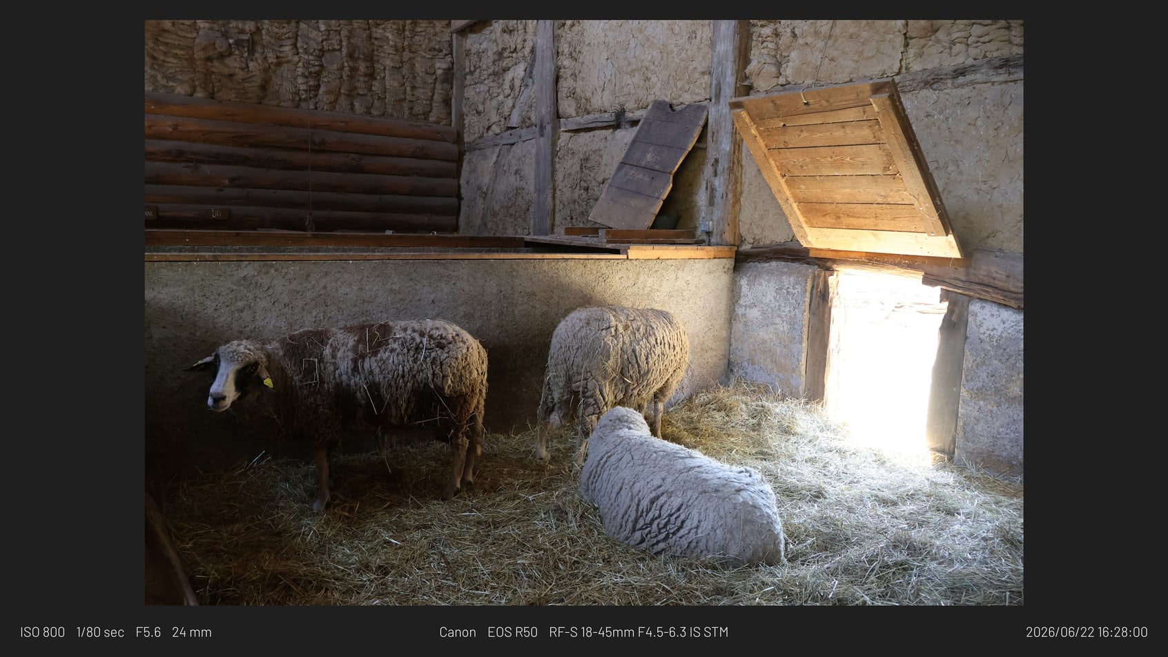 16:9 web sample